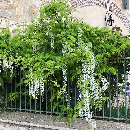 Les Sauges Villa Merry-sur-Yonne Bagian luar foto